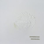 Visul Haiku "Le Rose del Giappone" n.8| entire piece 8 of 9