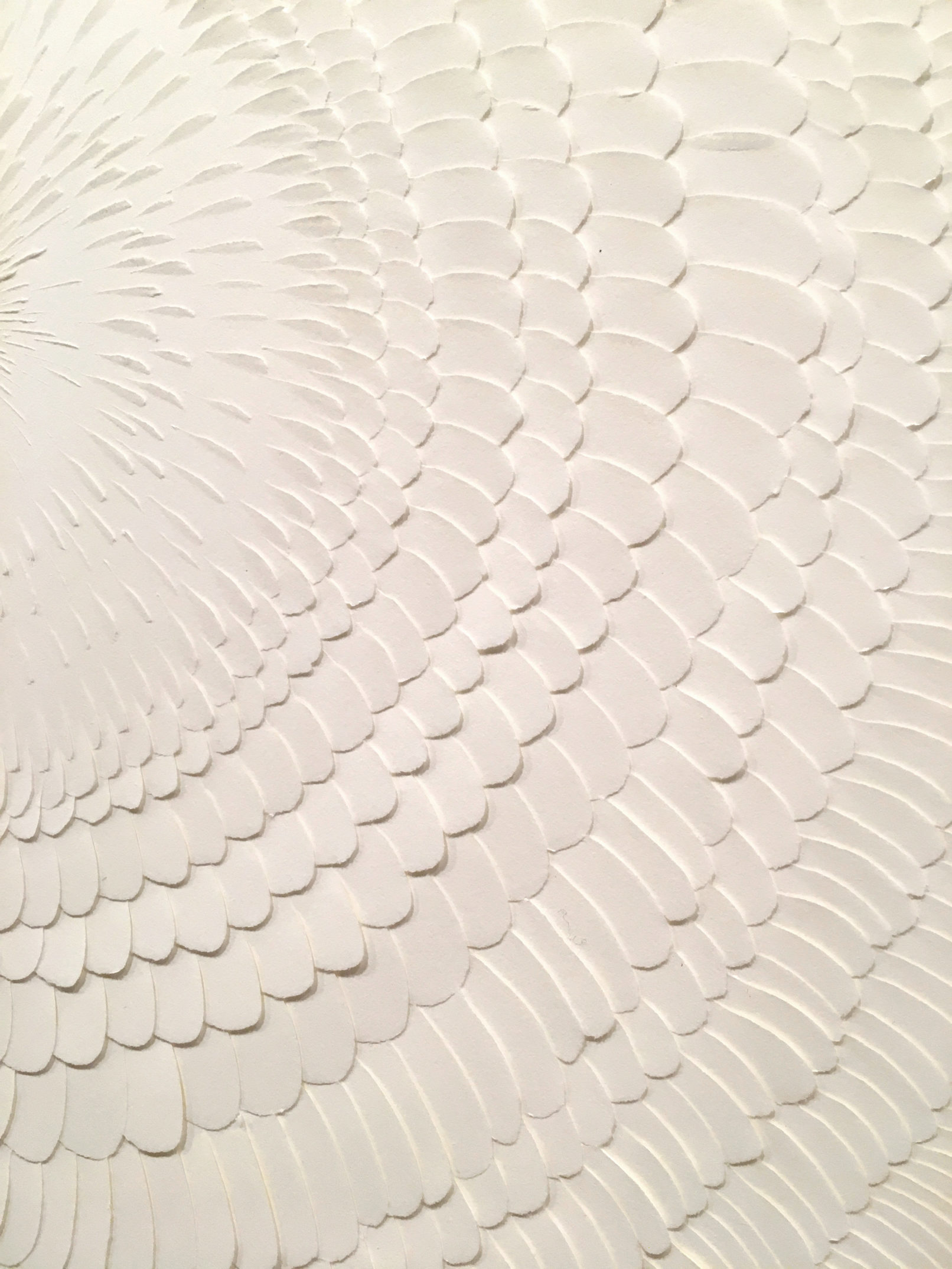 LLL Magnifico #5 | detail