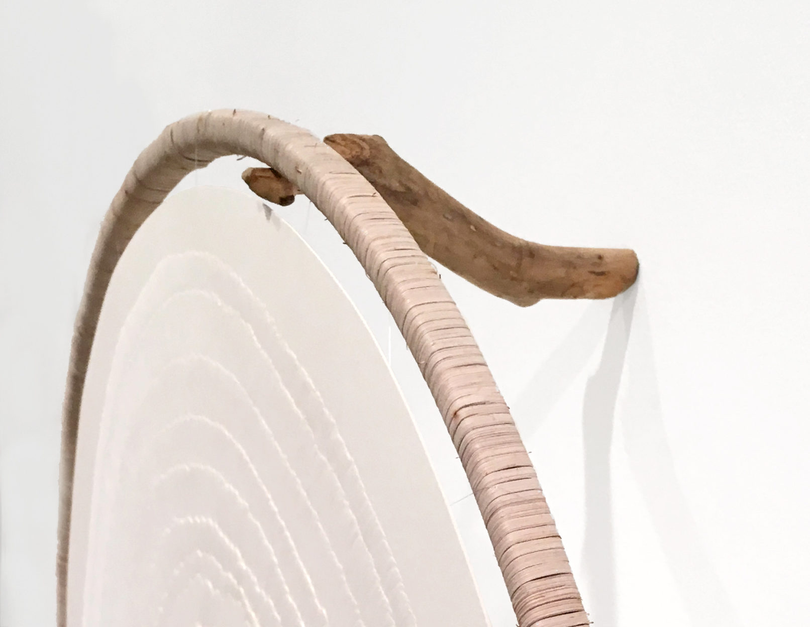 LLL Magnifico #5 | detail