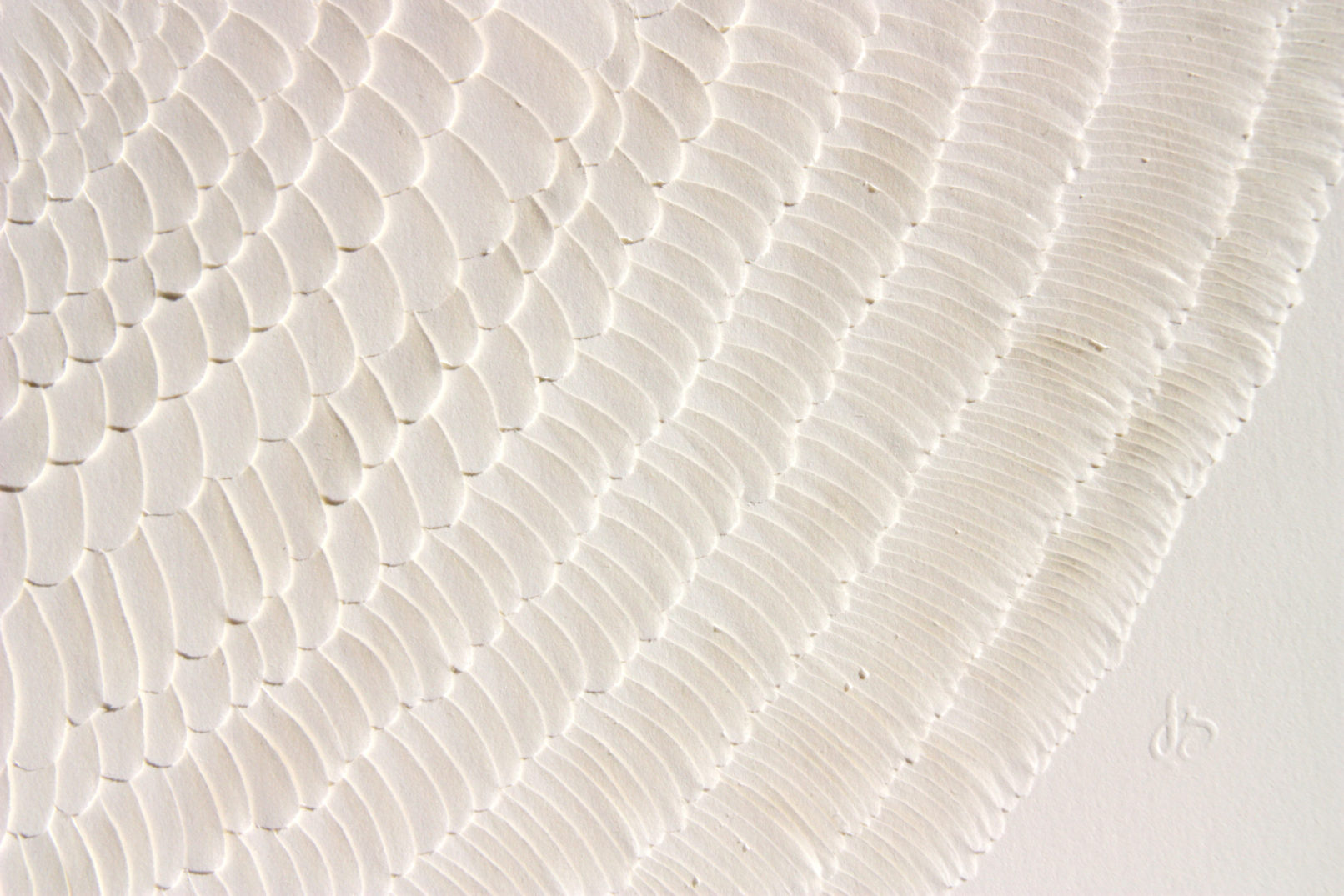 LLL Magnifico #5 | detail