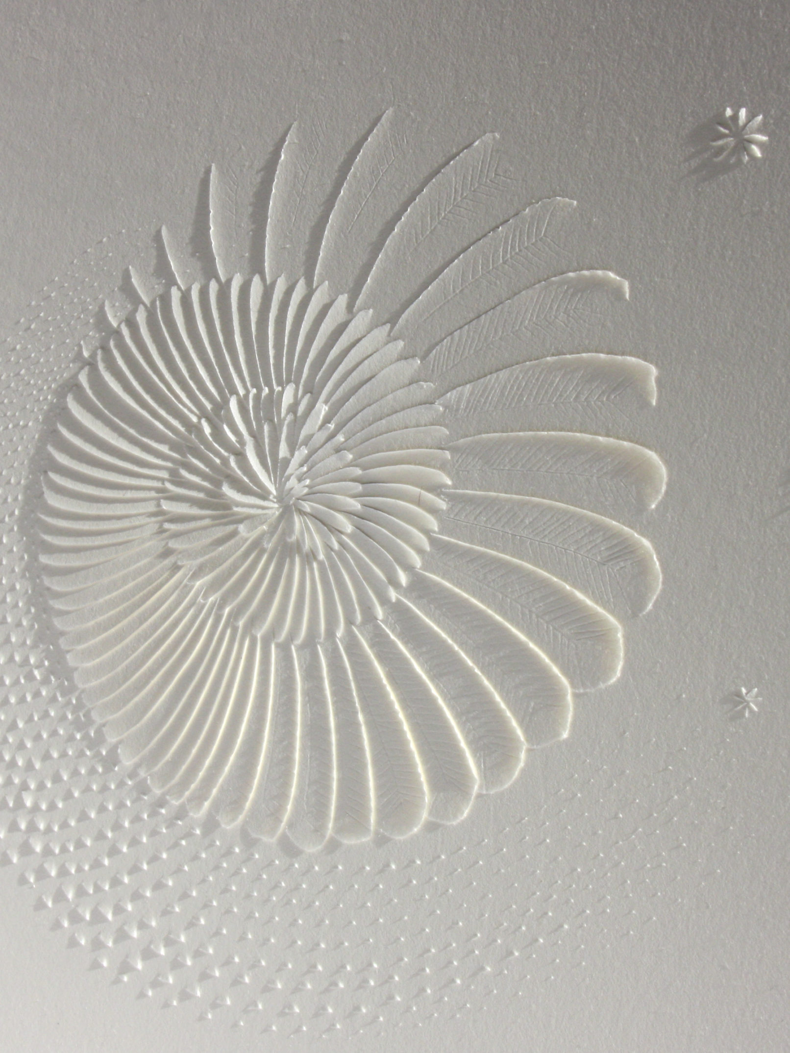 LLL Magnifico #7 | detail