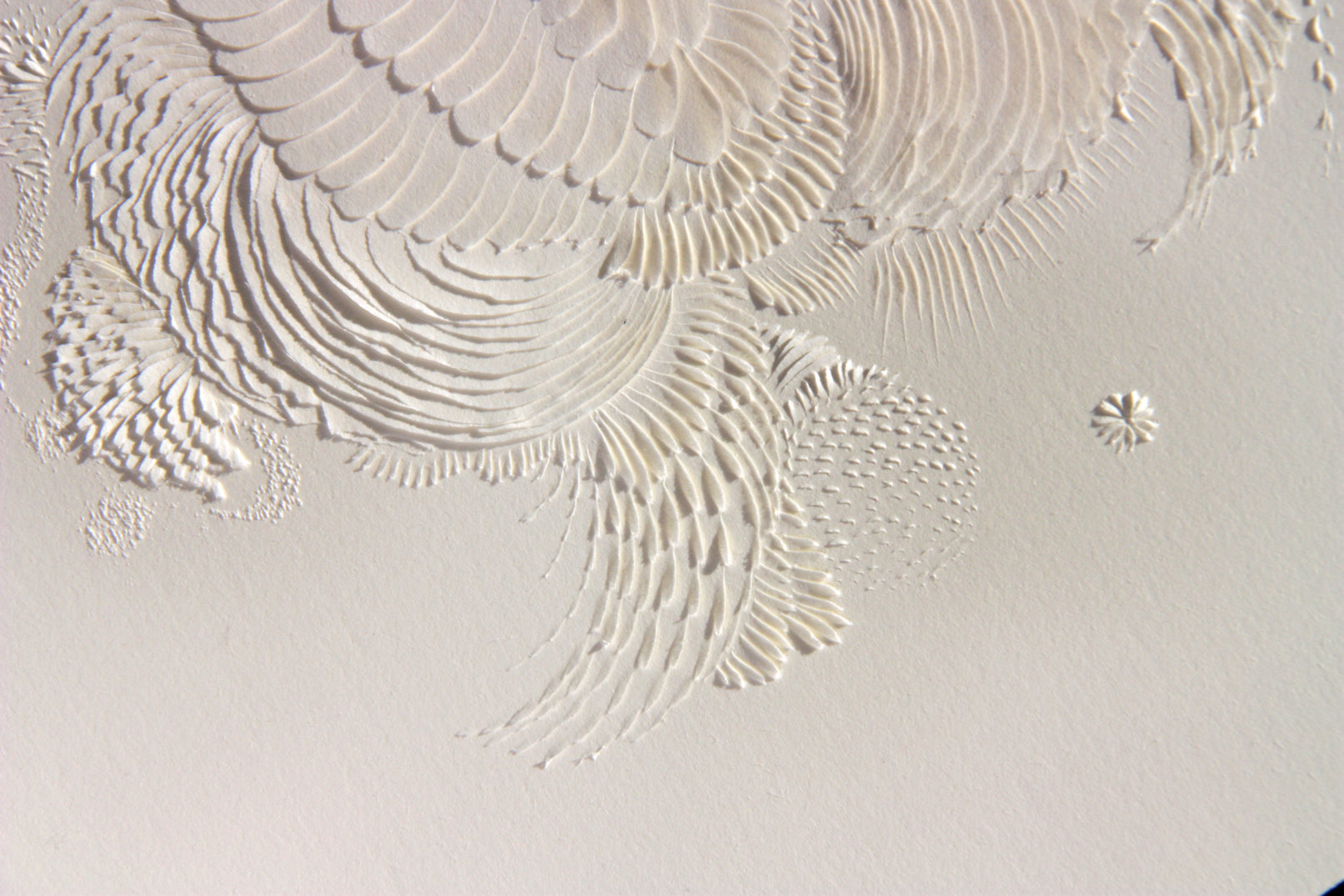 LLL Magnifico #3 | detail