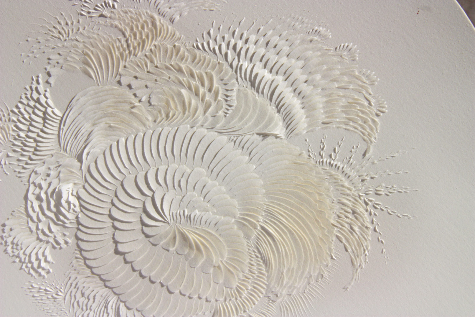 LLL Magnifico #3 | detail