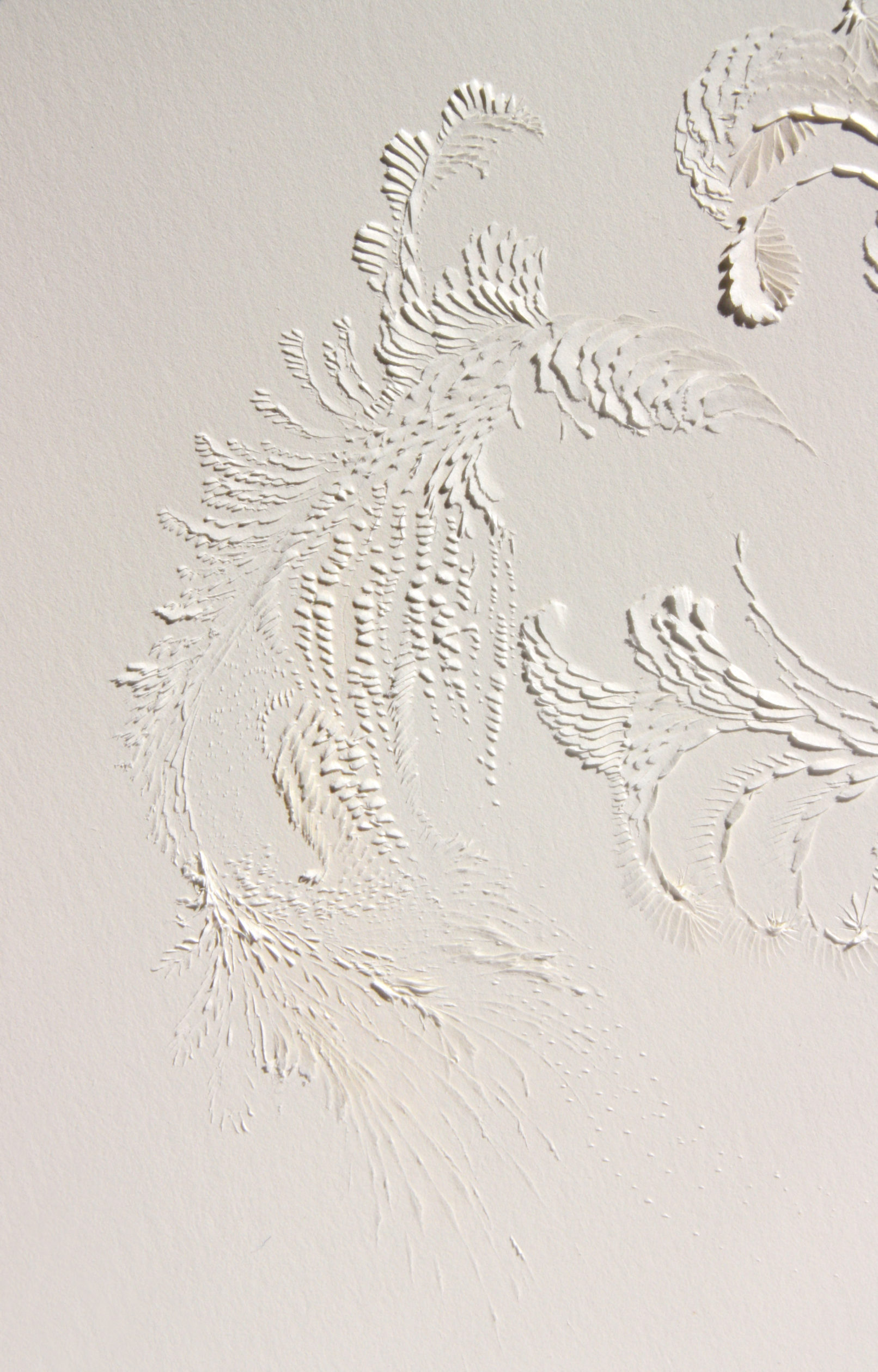 LLL Magnifico #4 | detail