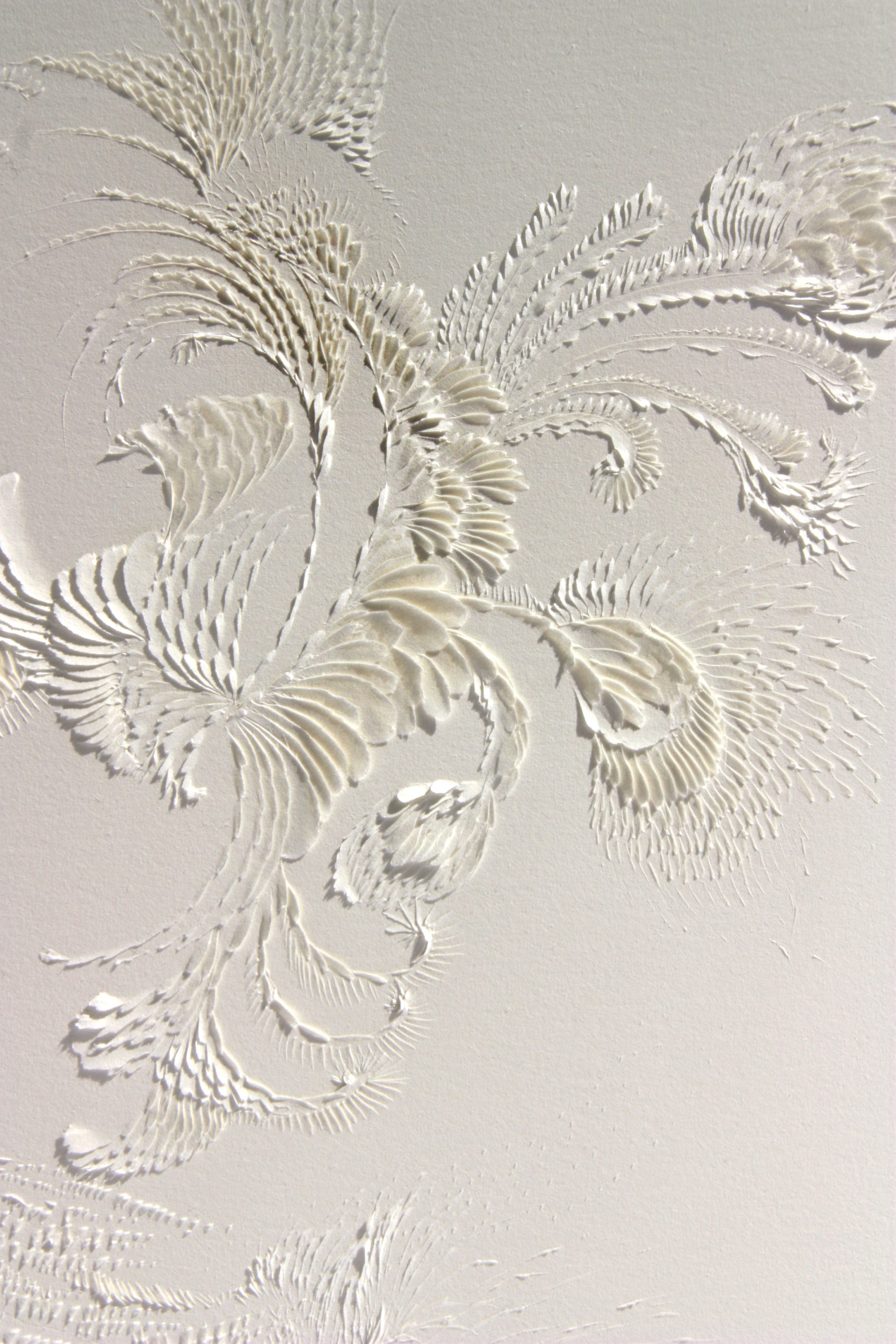 LLL Magnifico #4 | detail
