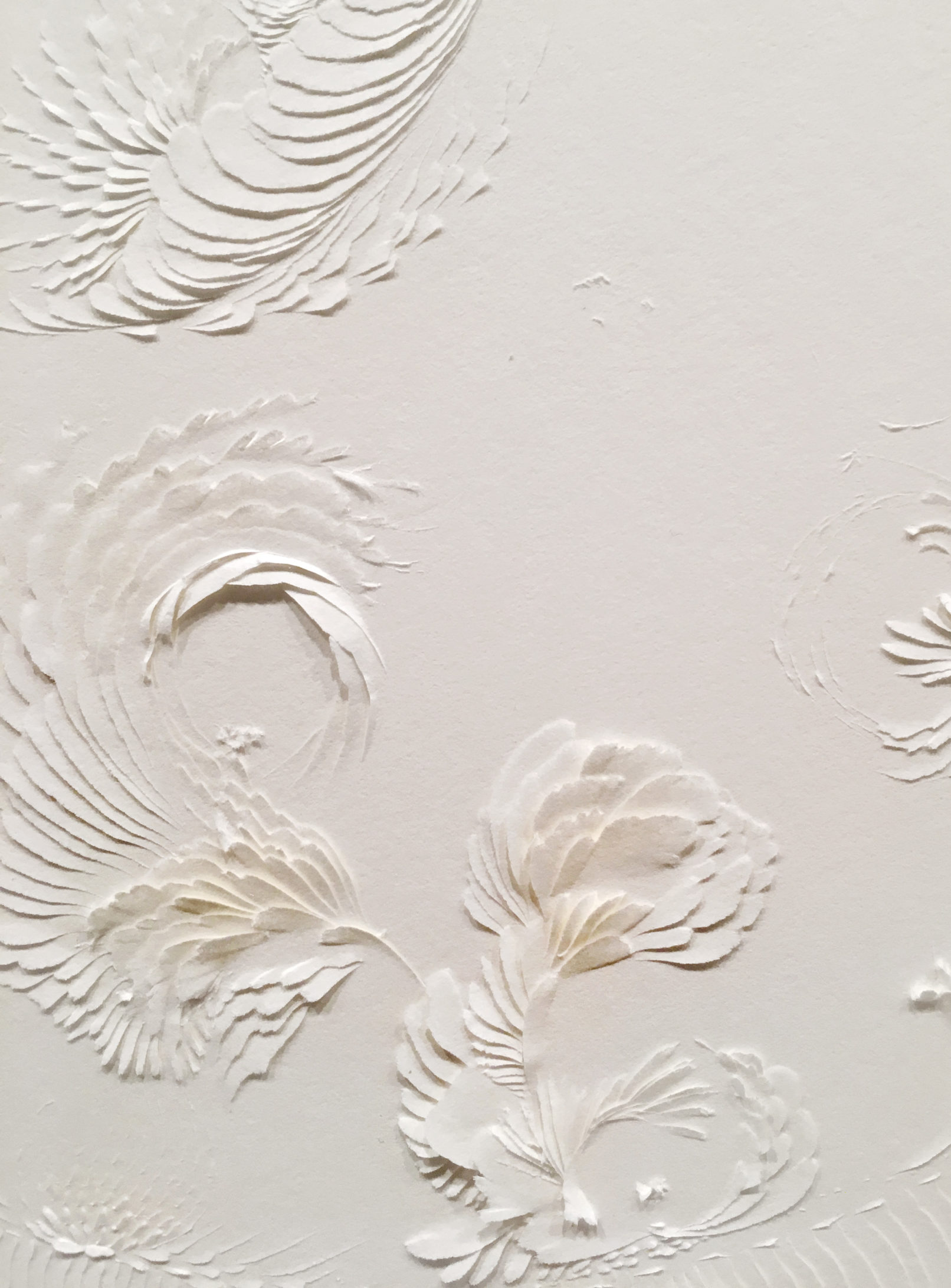 LLL Magnifico #6 | detail