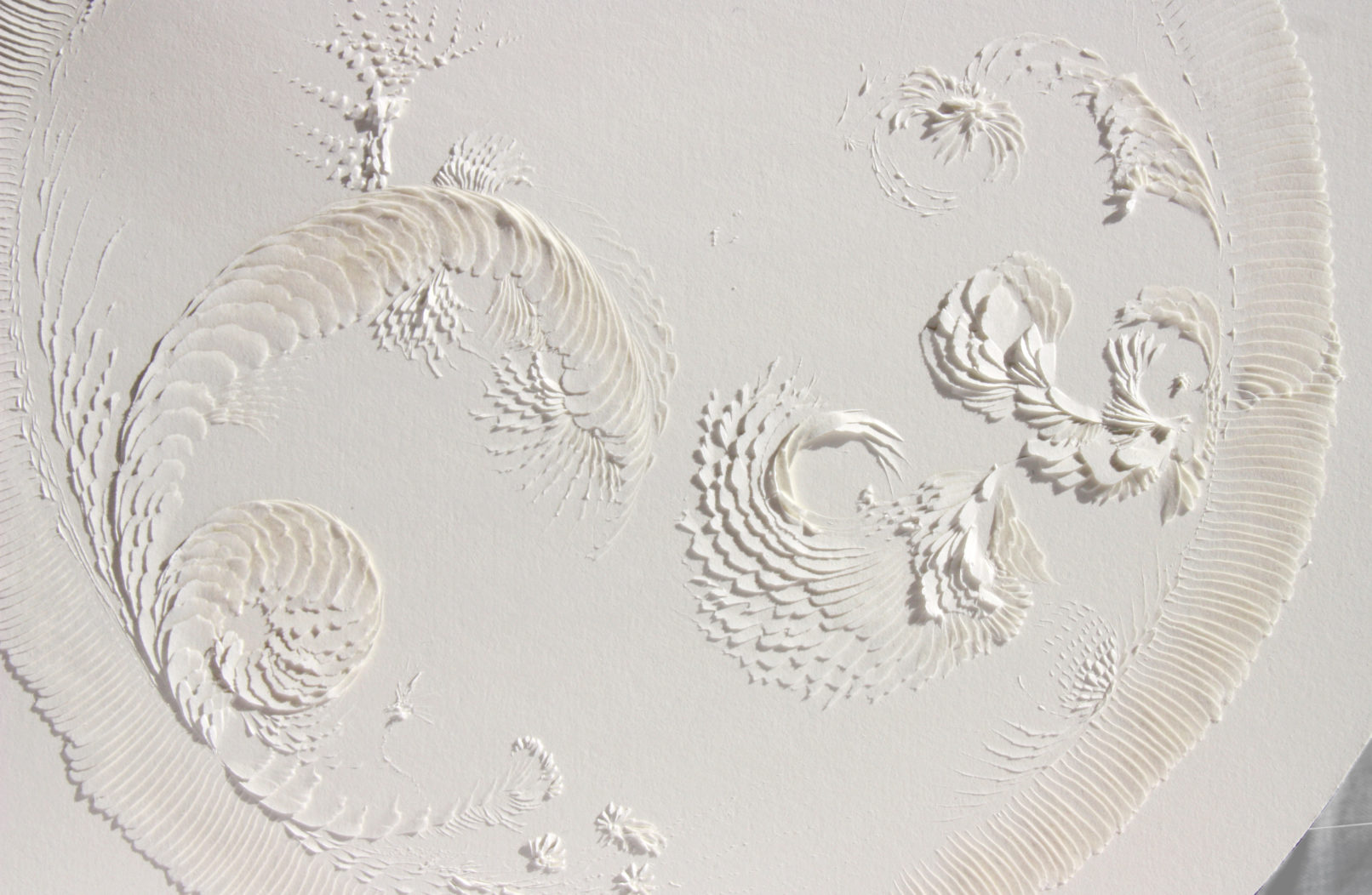LLL Magnifico #6 | detail