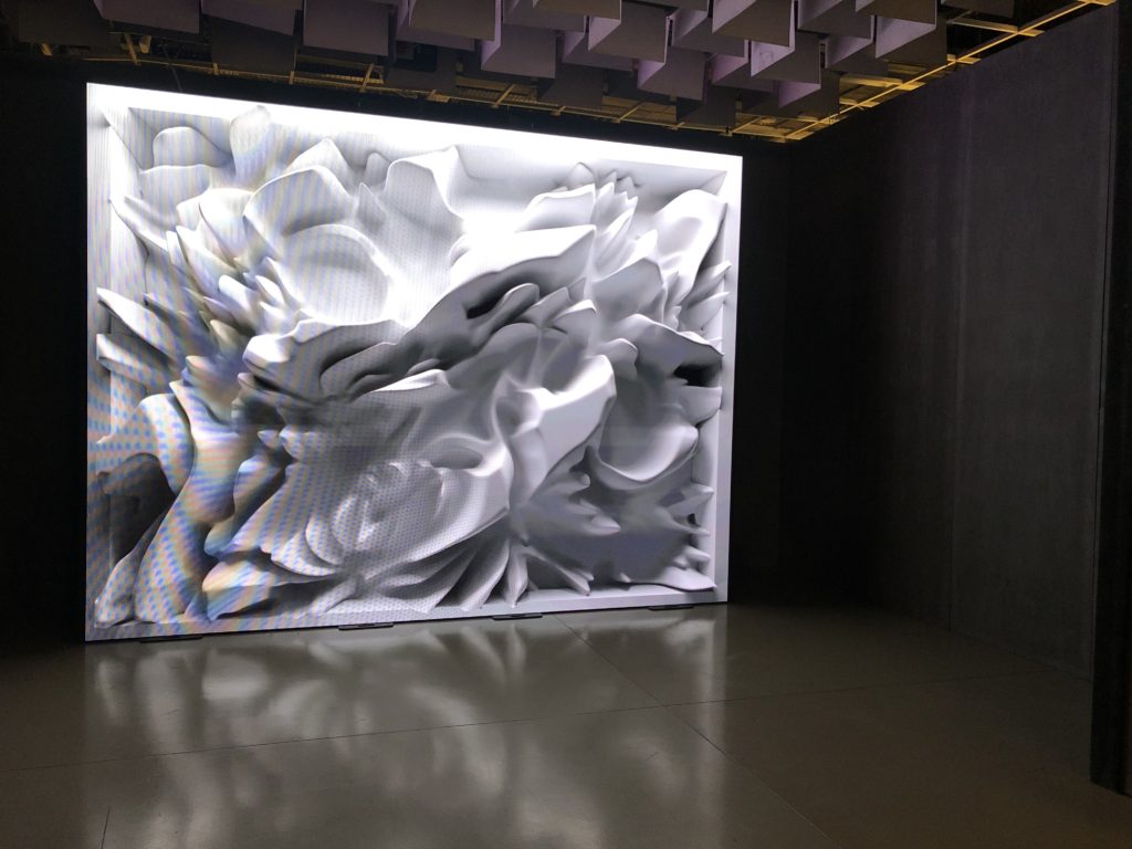Domitilla Biondi - Florence Biennale 2019 - Refik Anatol artwork